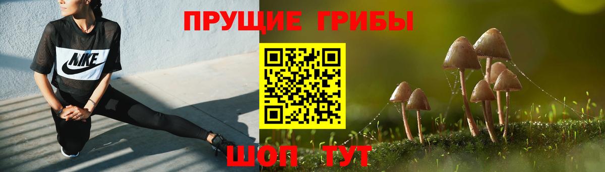 Галлюциногенные грибы мухоморы Чистополь